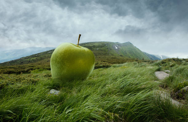 Huge ripe green apple lying on the grass among mountains, hills. Cloudy morning sky in highlands. Concept of contemporary art, design, beauty and ad. Creative artwork.