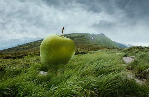 Huge ripe green apple lying on the grass among mountains, hills. Cloudy morning sky in highlands. Concept of contemporary art, design, beauty and ad. Creative artwork.