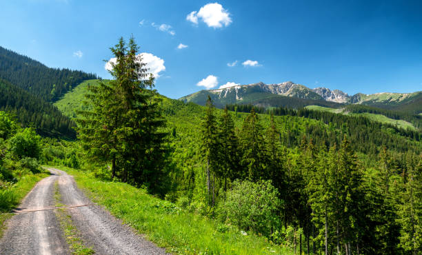 Low Tatras mountains from Janska valley, Slovakia stock photo