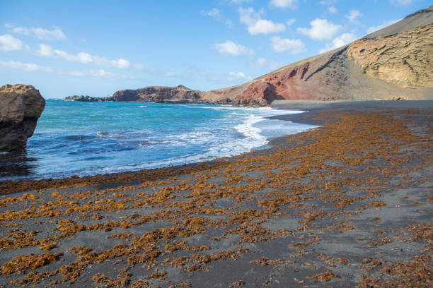 istock Playa de los Ciclos, Lanzarote 1326279604