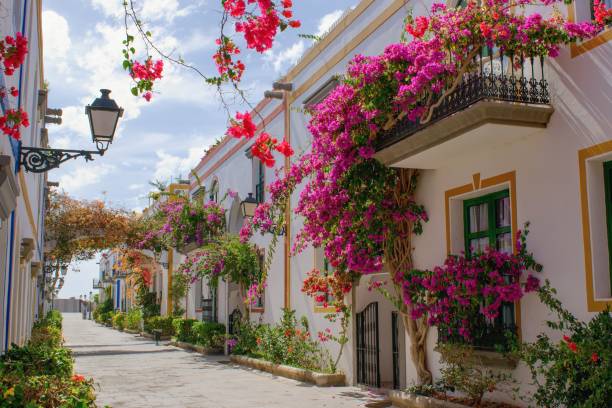 beautiful street in puerto mogan town, gran canaria island , spain - bougainvillea na fachada da casa imagens e fotografias de stock