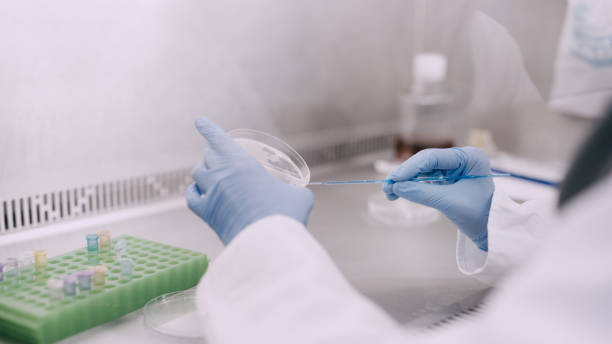 istock Shot of a scientist putting scientific samples into a petri dish for analysis 1326282768
