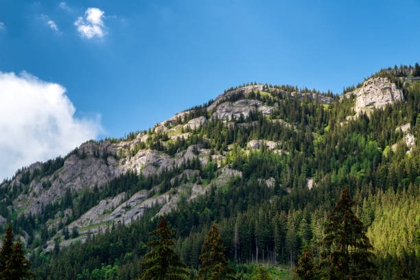 istock Hill Ohniste in Low Tatras mountains, Slovakia 1326283120