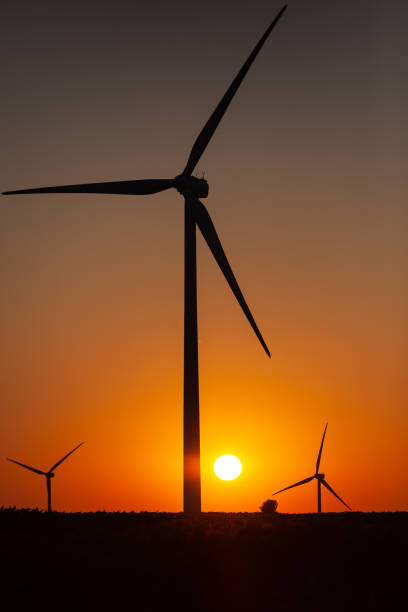 istock Wind turbines and field at sunrise Eco environment 1326283482