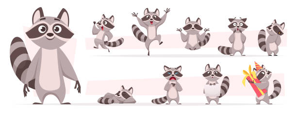 너구리 동물. 야생 포유류 귀여운 미소 재생 및 다양한 액션 포즈 숲 거주자 정확한 벡터 만화 재미있는 마스코트 - raccoon stock illustrations
