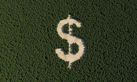 Deforestation with dollar sign. (3d render)