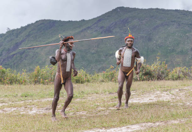 dani tribe people in Baliem Valley Baliem Valley, West Papua, Indonesia, February 15th, 2016: dani tribe people of Baliem Valley in their traditional outfits koteka stock pictures, royalty-free photos & images