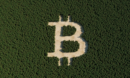 Deforestation with bitcoin sign. (3d render)
