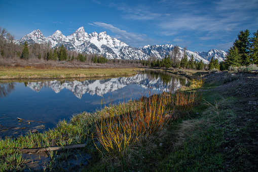 View of Teton range from Snake River with morning light reflections. This is at Schumacher Landing on the Snake river near Moose village, Moran, Jackson Hole and Dubois, Wyoming in western USA. John Morrison - Photographer
