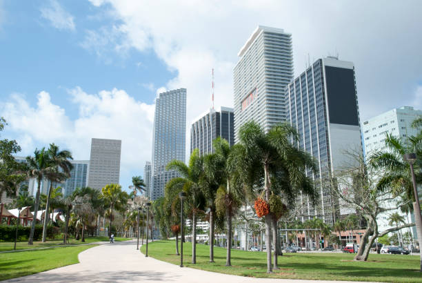 istock Miami Downtown Skyscrapers And A Park 1326287713