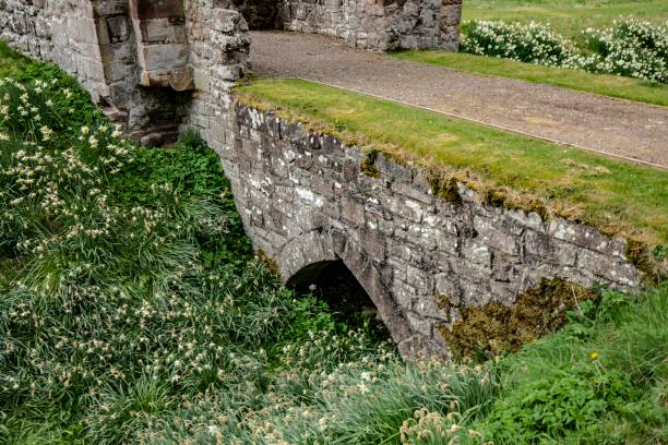 istock Old Footbridge Ruin & Daffodils Of Spring. 1326290719