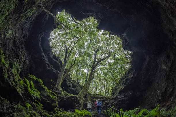 istock tree inside Pico island gruta das torres lava tunnels 1326296871