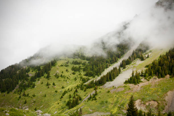 Black Sea Rize Elevit Plate Pine Trees and Sis, Turkey, Highland View