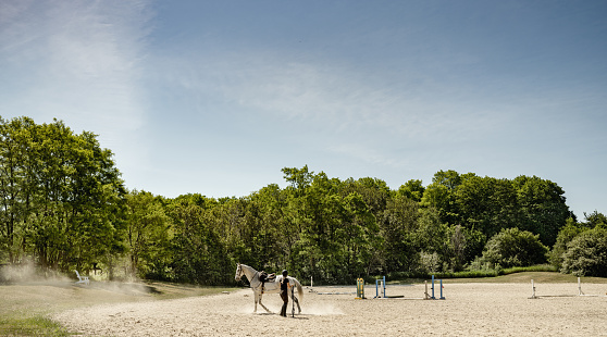 Young female trainer exercising her horse at the outdoor paddock. She is wearing horse riding helmet, pants and t-shirt with her long hair in pony tail. Exterior of rural farm in Ontario, Canada.