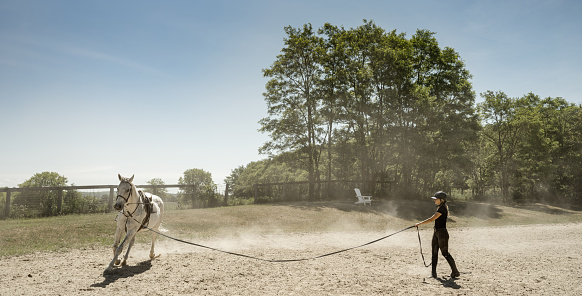 Young female trainer exercising her horse at the outdoor paddock. She is wearing horse riding helmet, pants and t-shirt with her long hair in pony tail. Exterior of rural farm in Ontario, Canada.