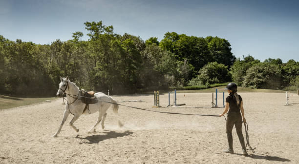 istock Young female trainer exercising her horse 1326299542