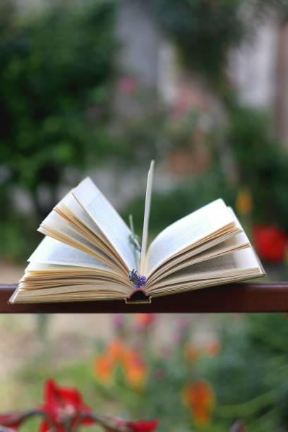 istock Book and Lavender Flower 1326300265