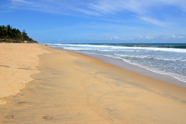 Grand-Bassam beach - Gulf of Guinea, Ivory Coast Grand-Bassam, Aboisso department, Sud-Comoé region, Comoé district, Ivory Coast / Côte d'Ivoire: long golden sand beach on the Atlantic Ocean, an off the beaten track resort served by several hotels. ivory coast landscape stock pictures, royalty-free photos & images