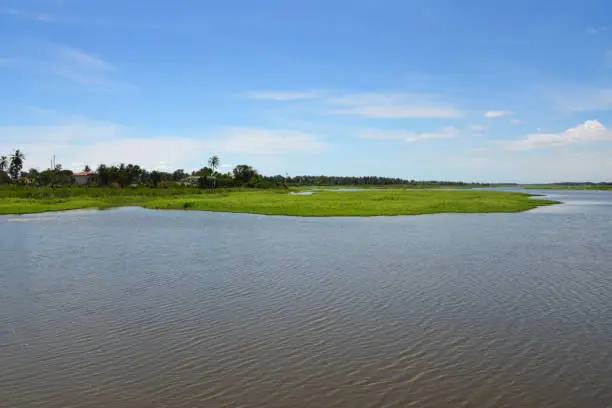 Grand-Bassam, Aboisso department, Sud-Comoé region, Comoé district, Ivory Coast / Côte d'Ivoire: wetlands  - looking west along the Ébrié Lagoon towards the Komoé River estuary