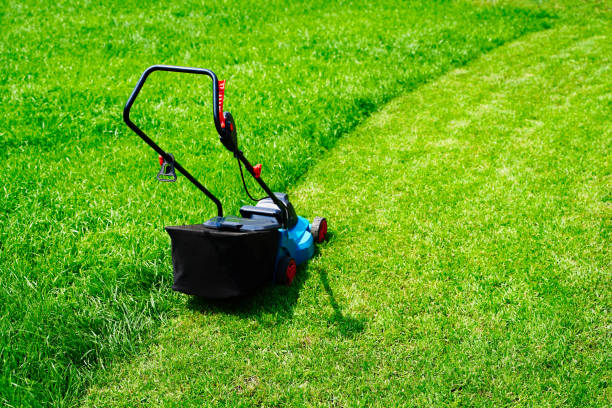 istock Lawnmower electric machine trimming green grass. Lawn cutting 1326304104