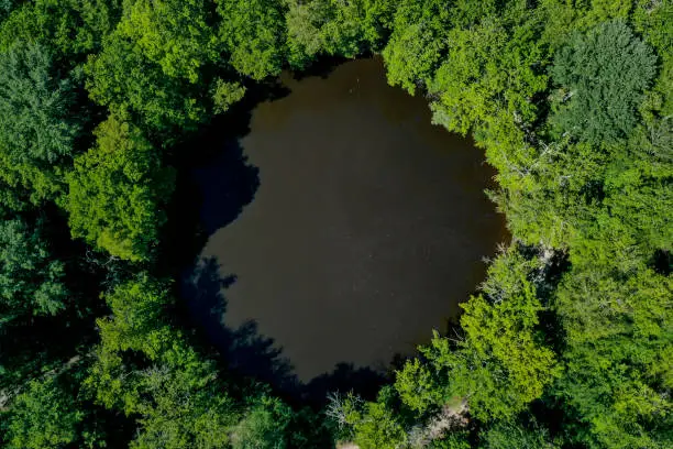 aerial view of the evees pond in the fontainebleau forest