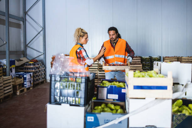 istock Two people a young man and a girl,work in a fruit and vegetable warehouse. 1326307524