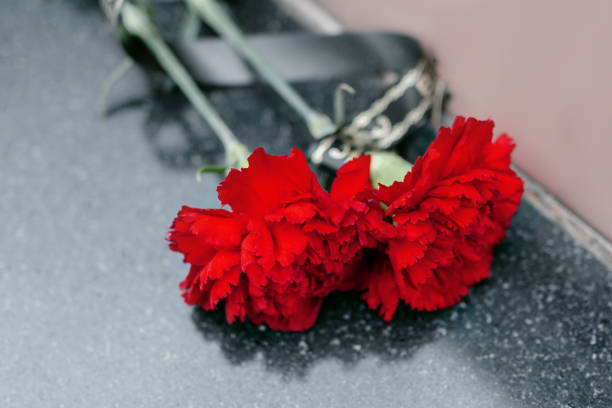 color photograph of red carnations on blue background with plenty of copy space