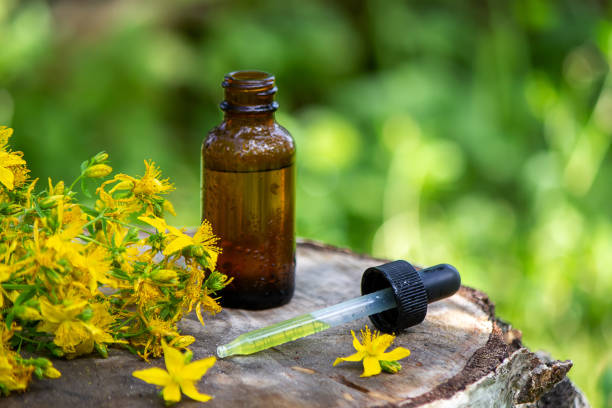 St. John's wort flower oil in a glass bottle. on a wooden background. St. John's wort flower oil in a glass bottle. on a wooden background. Selective focus st. johns newfoundland photos stock pictures, royalty-free photos & images