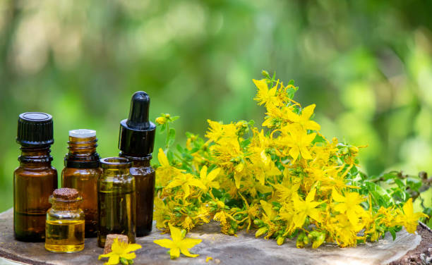 óleo de flor de st. john em uma garrafa de vidro. em um fundo de madeira. - st johns wort - fotografias e filmes do acervo