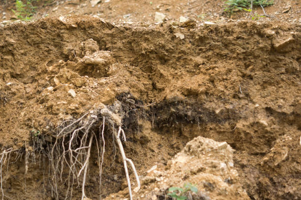 istock destroyed layers of lithosol soil 1326313479