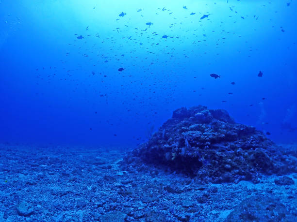 istock night sea,Okinawa Kerama 1326314766