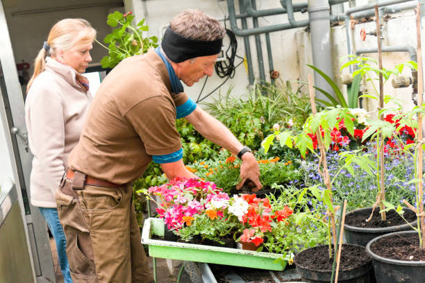 istock Gardener with a customer in flower greenhouse 1326316122