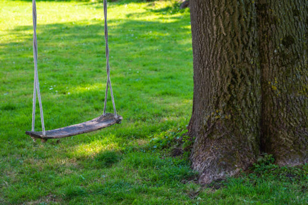 istock Old empty wooden swing hanging from a large tree 1326316806