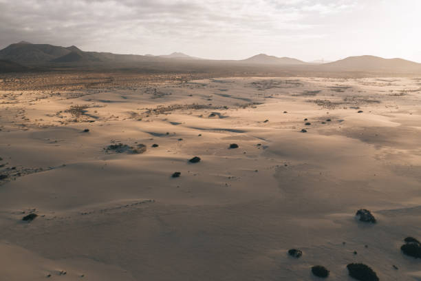 istock Aerial view of sandy desert at sunrise 1326317879