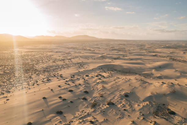 istock Aerial view of sandy desert at sunrise 1326317883