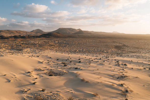 istock Aerial view of sandy desert at sunrise 1326317963