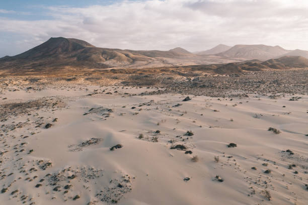istock Aerial view of sandy desert at sunrise 1326317971