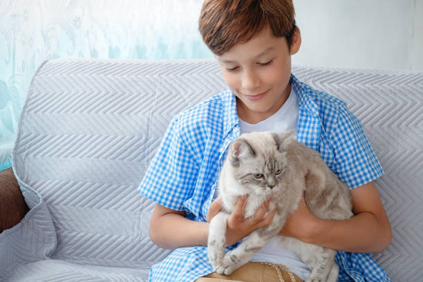 istock Teenage boy sits on sofa, holding cat in his hands 1326318757