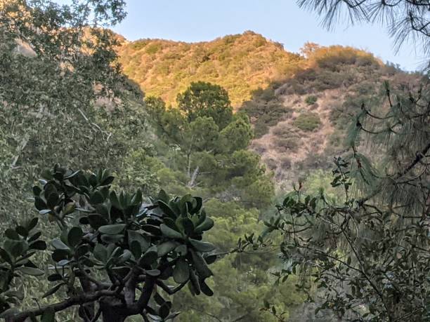 istock Mountains in Sierra Madre 1326320317