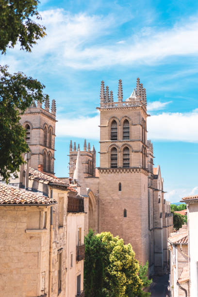 istock Montpellier Saint-Pierre Cathedral in summer (Occitanie, France) 1326321252