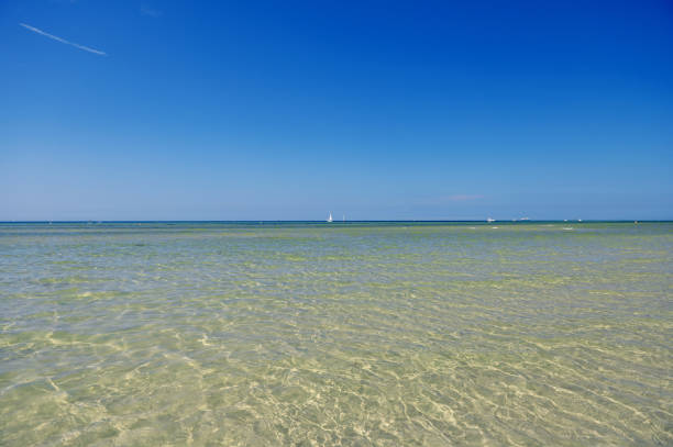 istock Sky without clouds with clear water and sailboards  away from the coast 1326321778