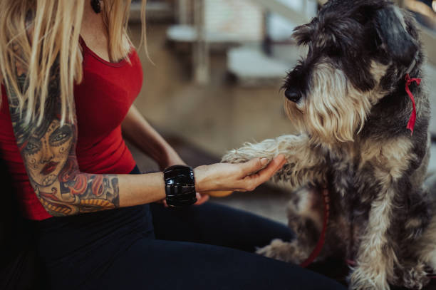 istock Unrecognized woman holding her dog paw while having a good time outside 1326326640
