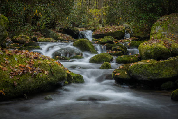 istock Low Angle of Water Rushing Around Mossy Boulders 1326327791