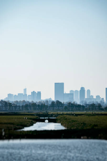 Rotterdam Skyline stock photo