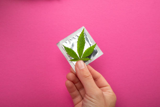 protection in sex when using drugs,condom and cannabis leaf on pink background stock photo