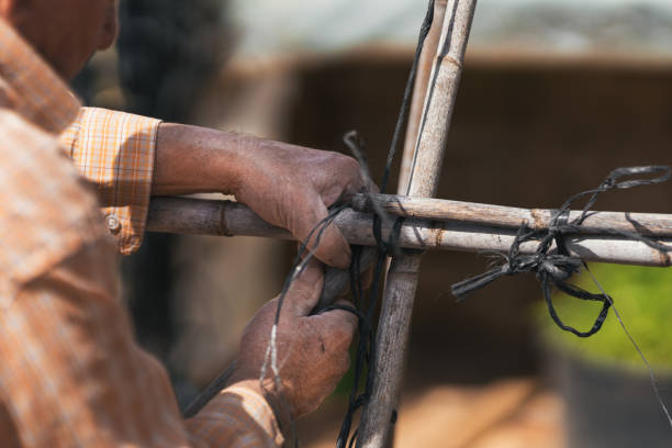 istock process of construction of structure for tomato orchard. Selective focus. 1326329149