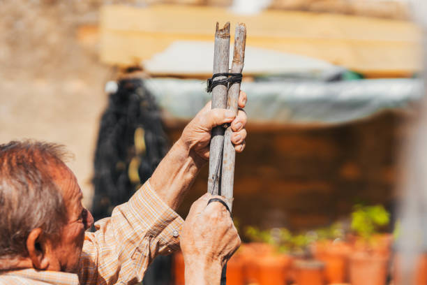 istock person building a structure for planting tomatoes. Selective focus. 1326329700