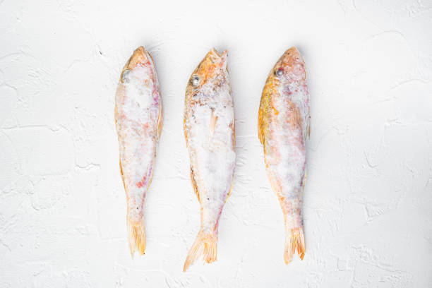 istock Frozen red mullet or barabulka raw fish, on white stone table background, top view flat lay 1326332045