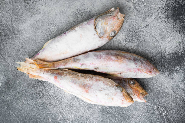 istock Frozen red mullet or barabulka raw fish, on gray stone table background, top view flat lay 1326332108