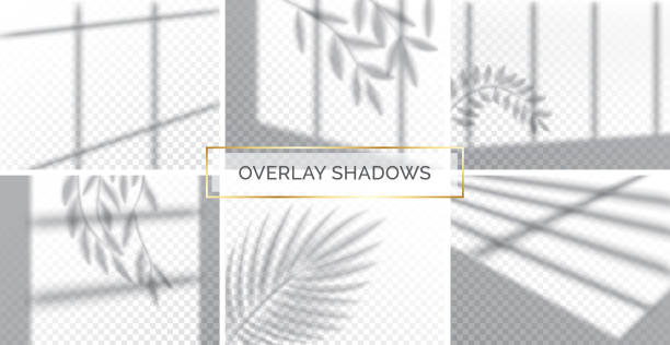 Foreground Vector Effect 300+ Jungle Foreground Stock Illustrations, Royalty-Free Vector ...